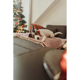 Hunter Hundedecke Astana