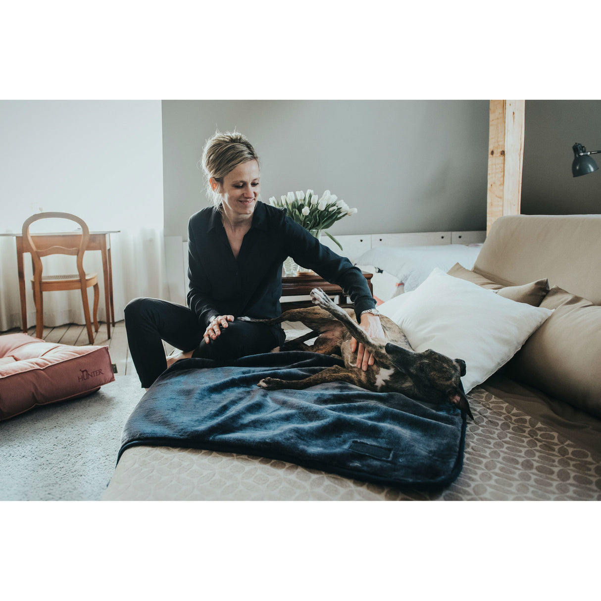 Hunter Hundedecke Konstanz