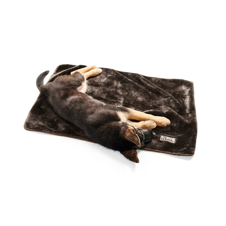 Hunter Hundedecke Konstanz