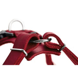 Hunter Hundegeschirr Aalborg Leder