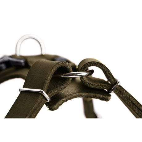 Hunter Hundegeschirr Aalborg Leder