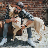 Hunter Hundegeschirr Aalborg Leder