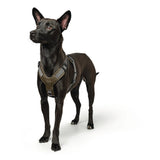 Hunter Hundegeschirr Aalborg Mixed
