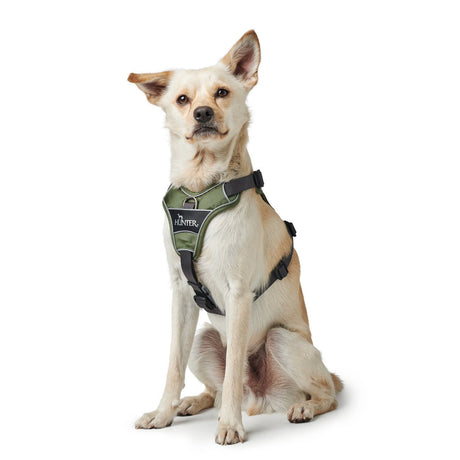 Hunter Hundegeschirr Divo