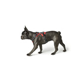 Hunter Hundegeschirr Divo