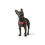 Hunter Hundegeschirr Divo