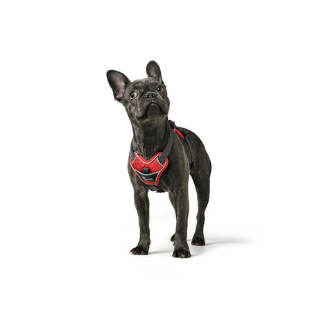 Hunter Hundegeschirr Divo