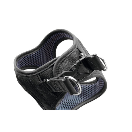 Hunter Hundegeschirr Hilo