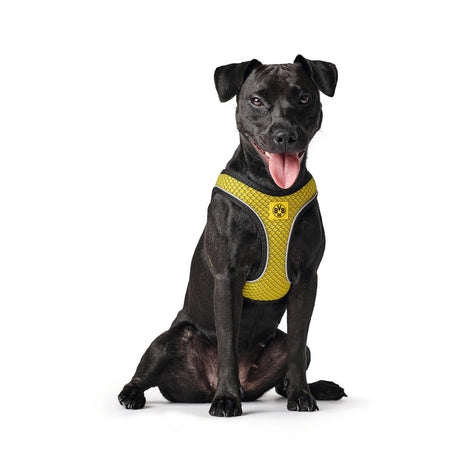 Hundegeschirr Hilo Comfort BVB