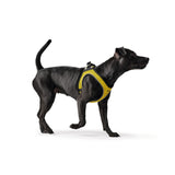 Hundegeschirr Hilo Comfort BVB