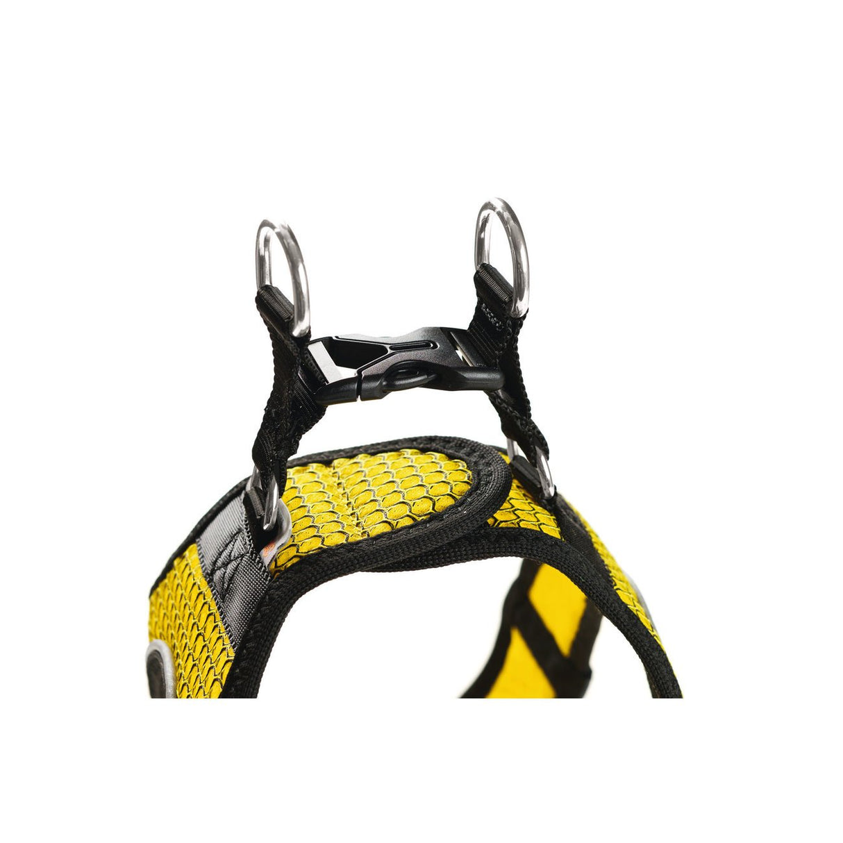 Hundegeschirr Hilo Comfort BVB