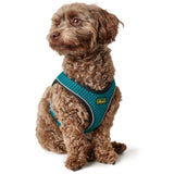 HUNTER Hundegeschirr Hilo Comfort Mesh