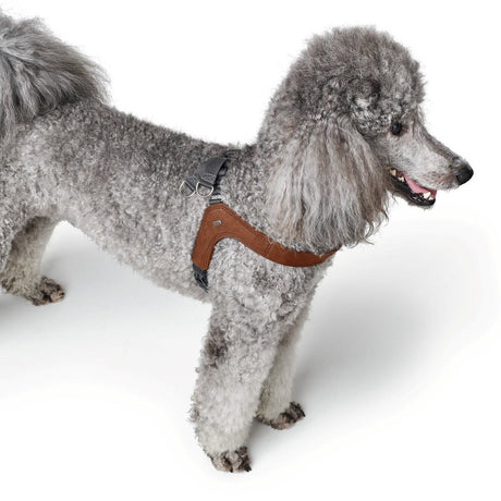 Hundegeschirr Leder Dimaro