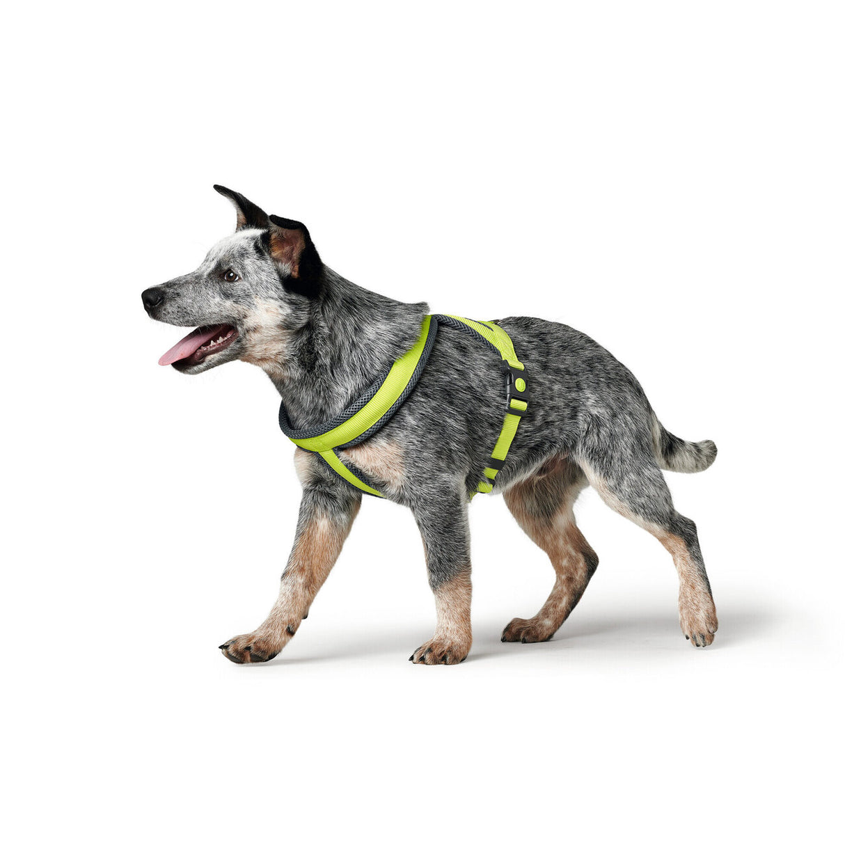 Hunter Hundegeschirr London Comfort