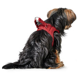 Hundegeschirr Love