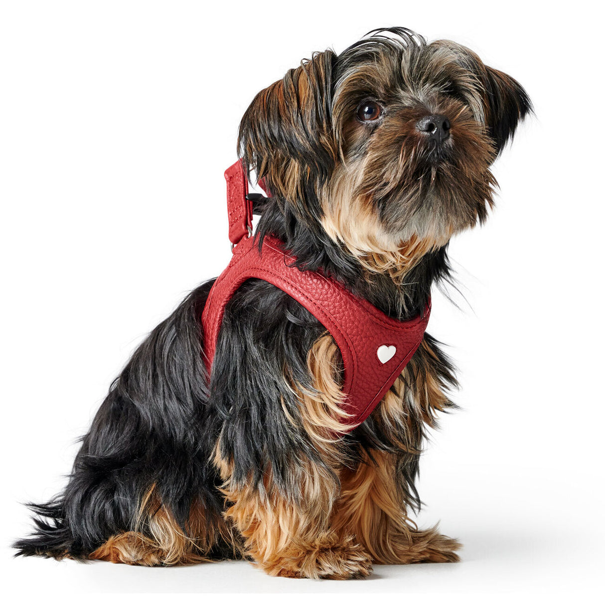 Hundegeschirr Love
