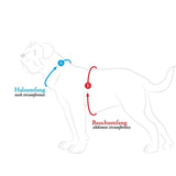 Hundegeschirr Love