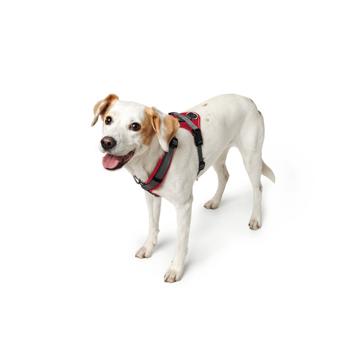 Hunter Hundegeschirr Maldon gepolstert