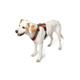 Hunter Hundegeschirr Maldon gepolstert