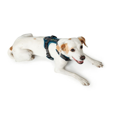 Hunter Hundegeschirr Maldon gepolstert