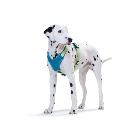 Hunter Hundegeschirr Neopren