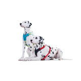 Hunter Hundegeschirr Neopren