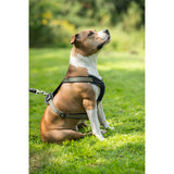 Hunter Hundegeschirr Neopren