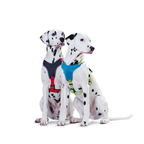Hunter Hundegeschirr Neopren