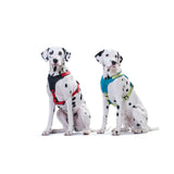 Hunter Hundegeschirr Neopren