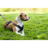 Hunter Hundegeschirr Neopren