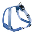 Hunter Hundegeschirr Neopren