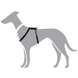 Hundegeschirr Round & Soft Canadian Up