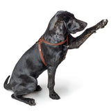 Hundegeschirr Round & Soft Canadian Up