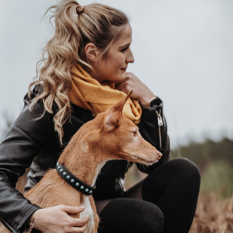 Hundehalsband Modica aus Leder