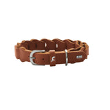 Hundehalsband Solid Education Chain