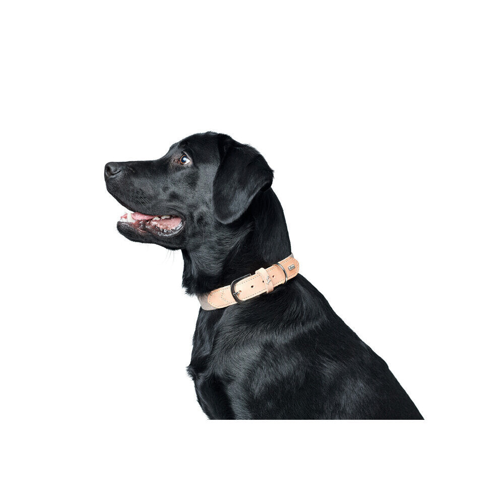 Hundehalsband Trino