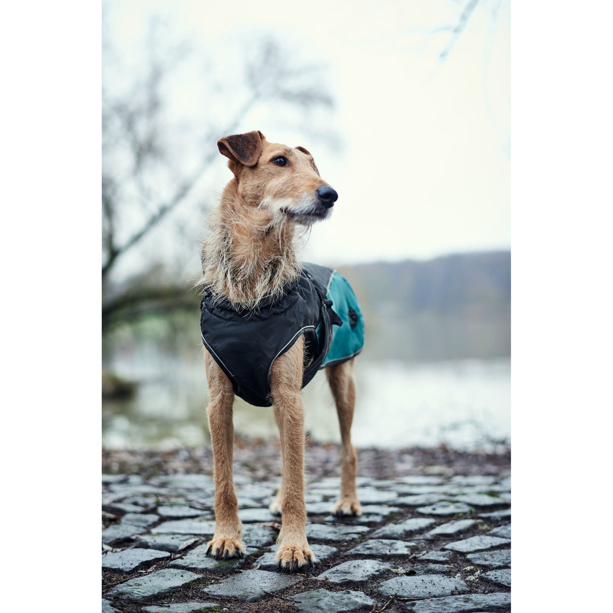 Hunter Hundemantel Uppsala Allrounder