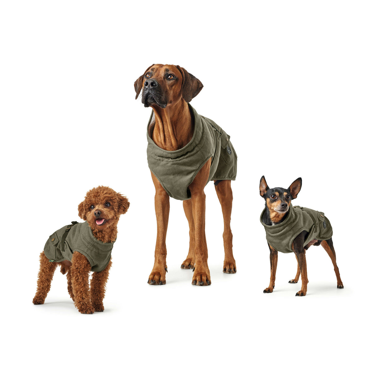 Hunter Hundemantel Uppsala Trend