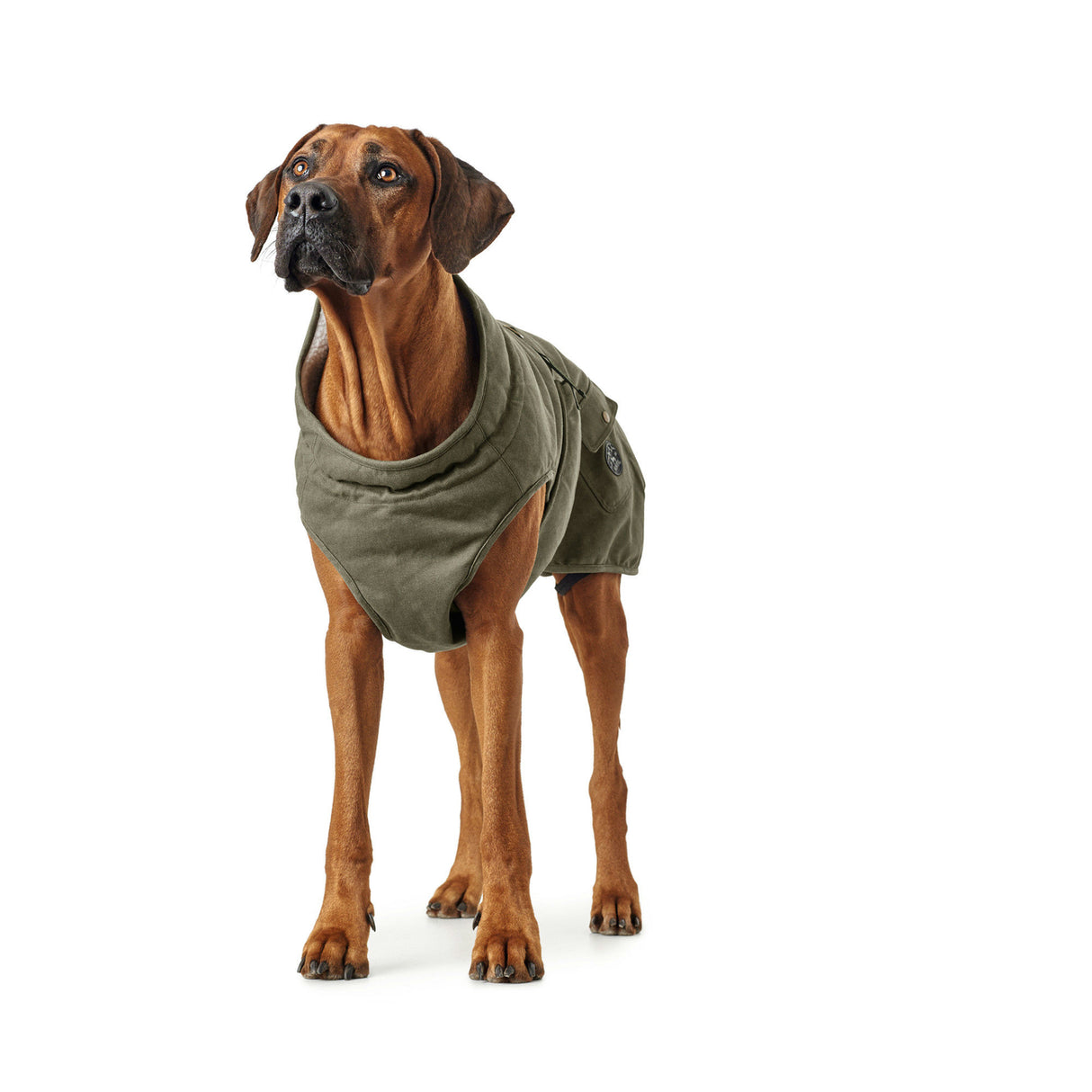 Hunter Hundemantel Uppsala Trend