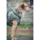 Hunter Hundemantel Uppsala Trend