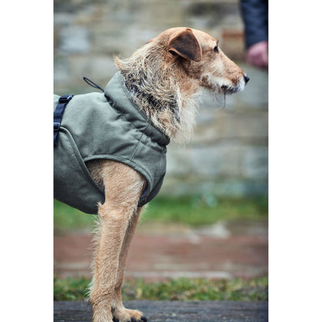 Hunter Hundemantel Uppsala Trend