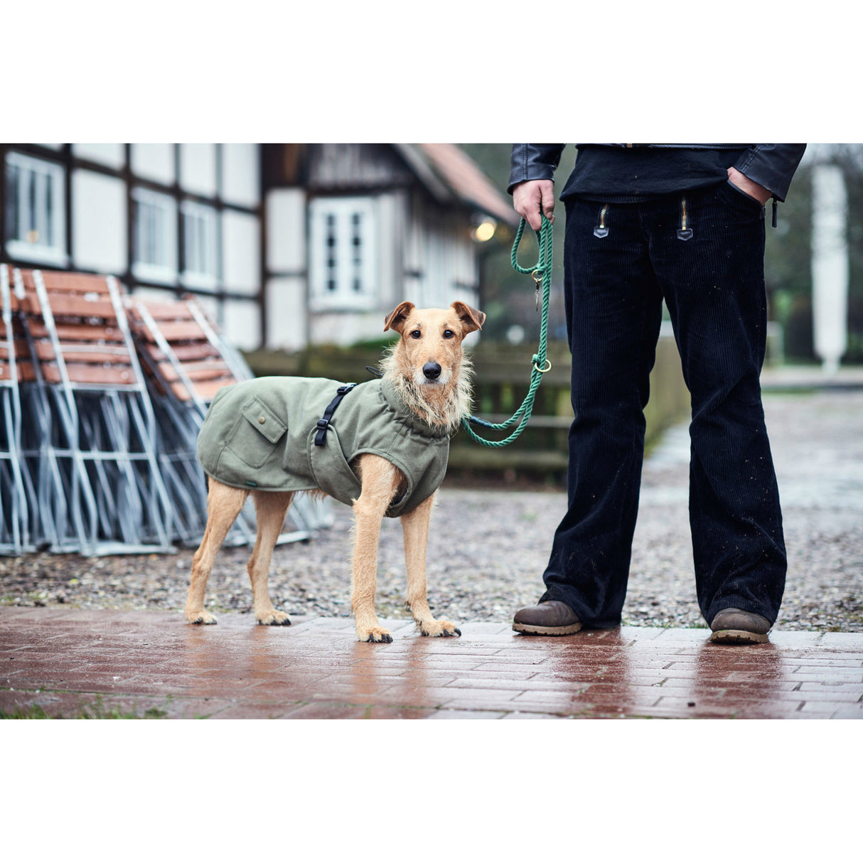 Hunter Hundemantel Uppsala Trend