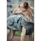 Hunter Hundemantel Uppsala Trend