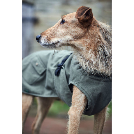 Hunter Hundemantel Uppsala Trend