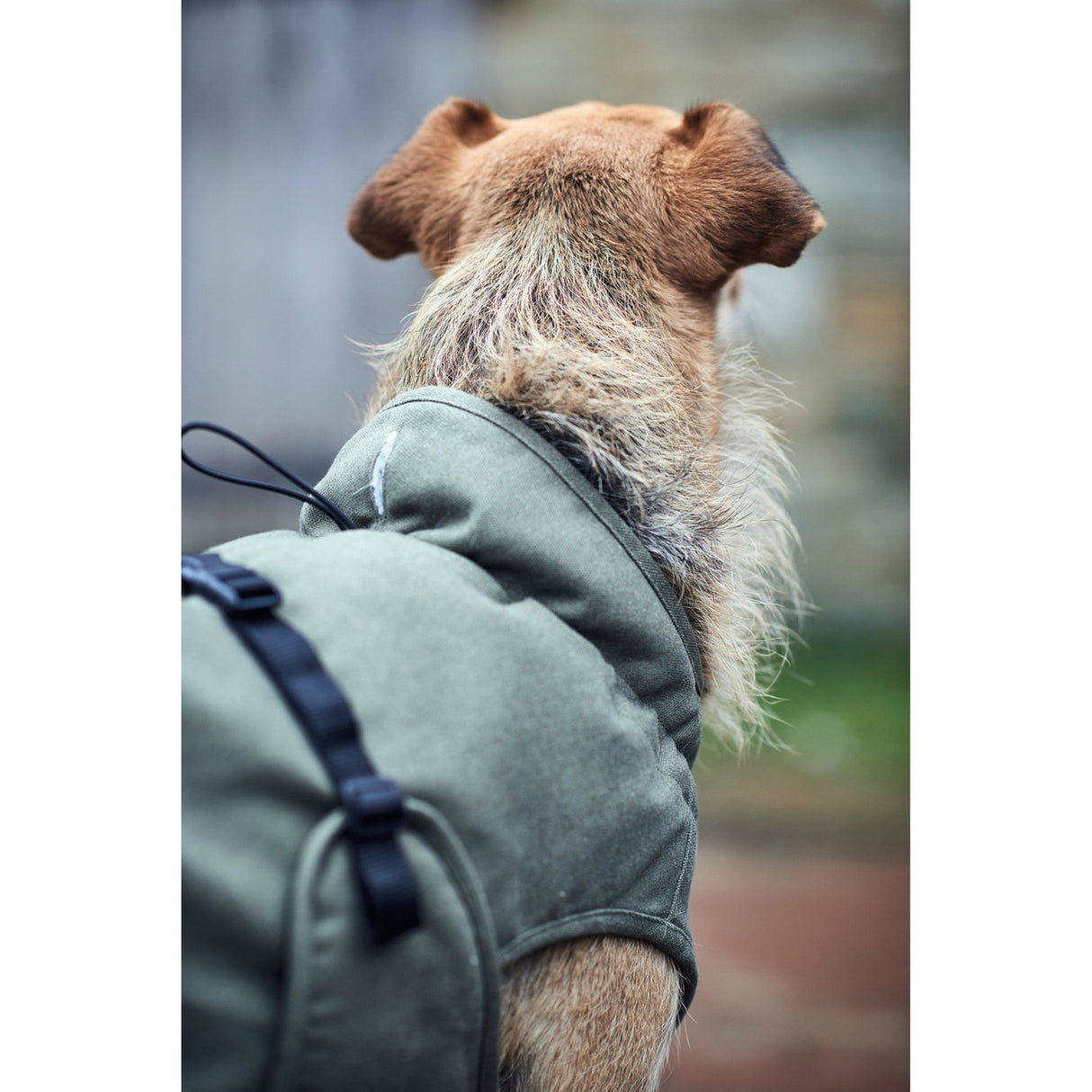 Hunter Hundemantel Uppsala Trend