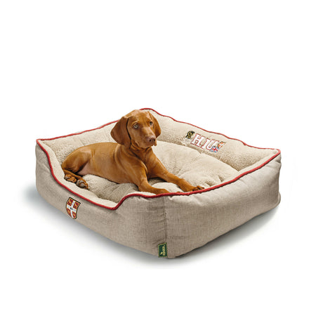Hunter Hundesofa University