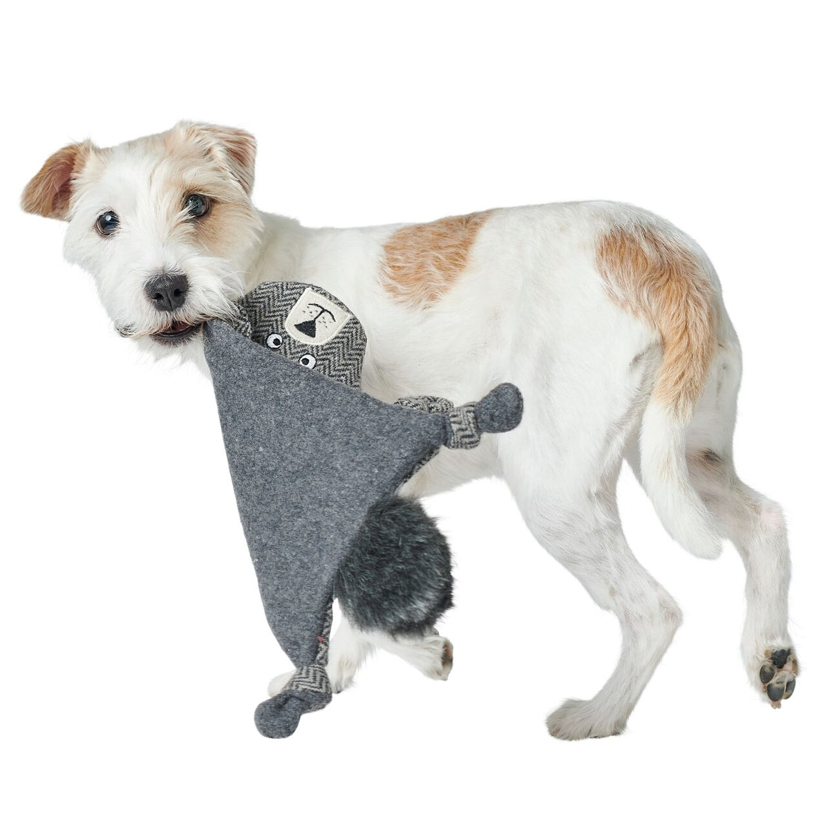 Hundespielzeug Billund flach für Hunde – Bär