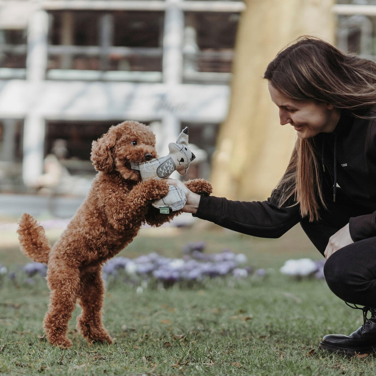 Hundespielzeug Billund Plüsch