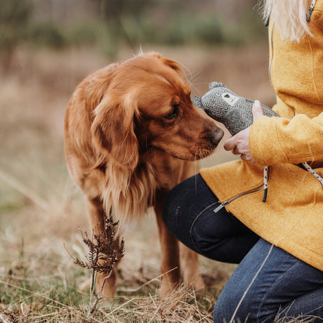 Hundespielzeug Billund Plüsch