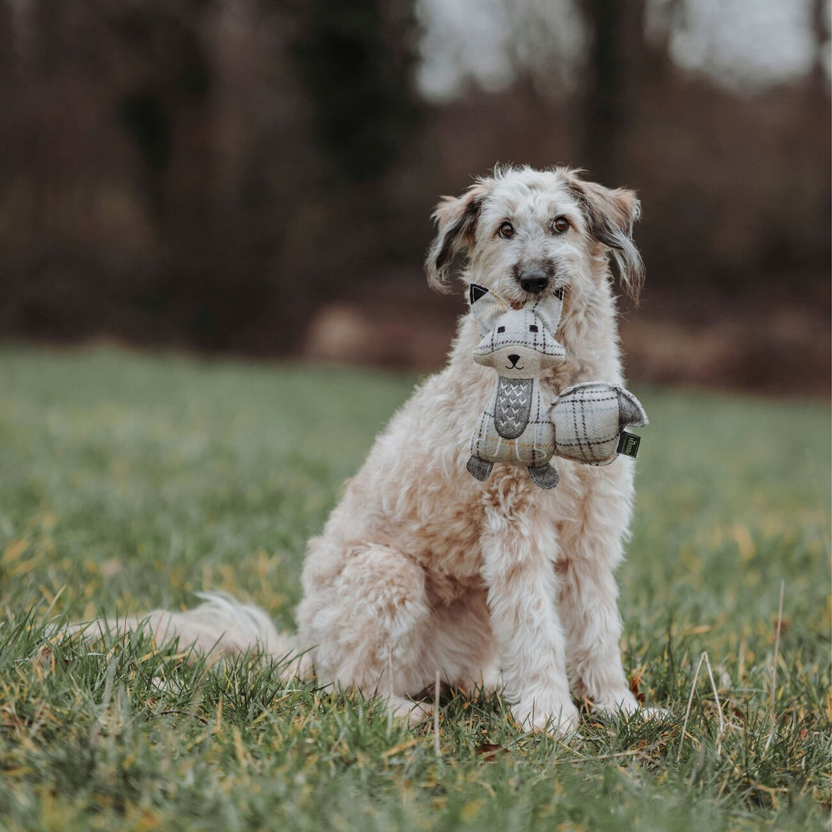 Hundespielzeug Billund Plüsch